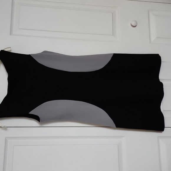 Velvet Torch Dress - Picture 5 of 7